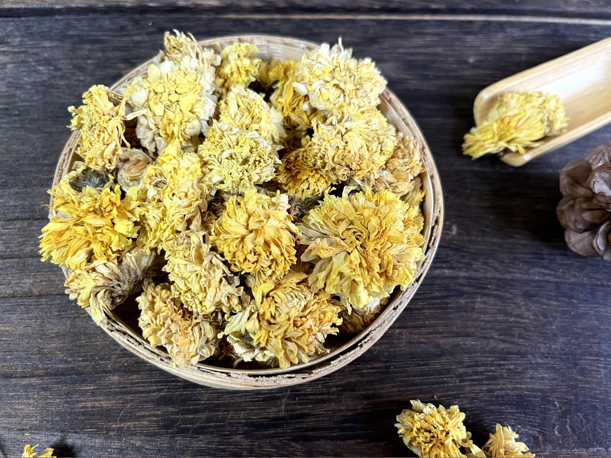 瑞龍中藥大講堂|“菊花與野菊花”藥用與觀賞的雙重價(jià)值